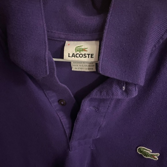 Lacoste polo - Picture 6 of 6